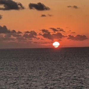 Meet your Posher, Kellyann